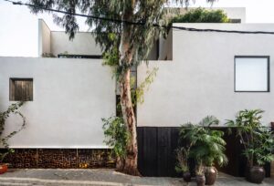 Eucalyptus house